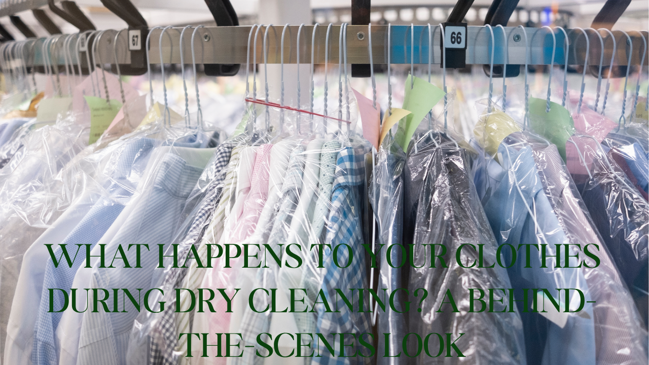 Best Dry Cleaning in Epping