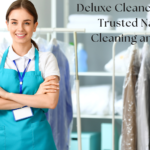 Deluxe Cleaners